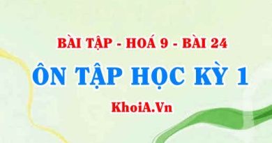 Bài tập Ôn tập Học kỳ 1 Hoá 9: Giải bài 1, 2, 3, 4, 5, 6, 7, 8, 9, 10 trang 71, 72 SGK Hoá 9 bài 24